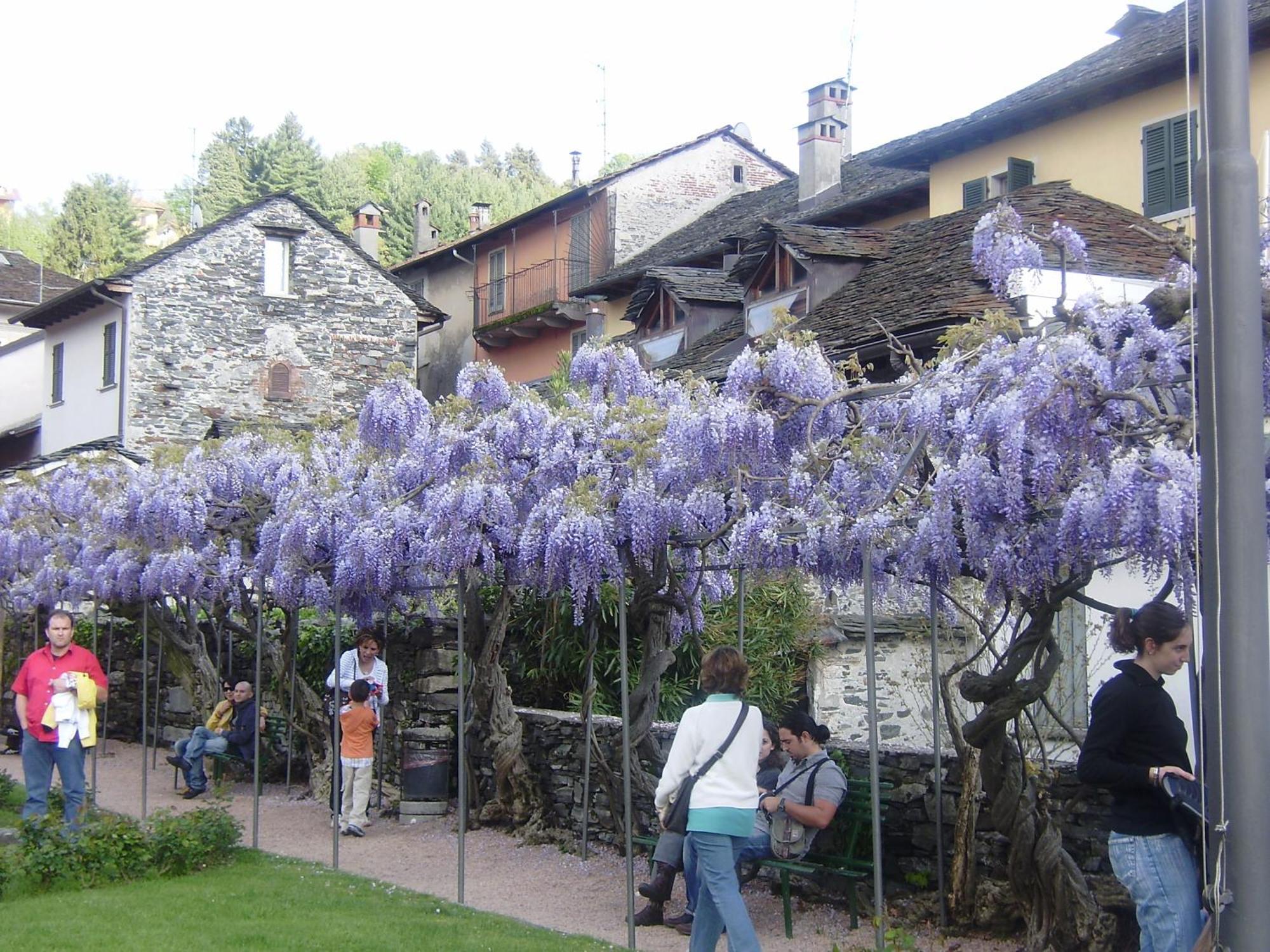 Appartamenti Orta Orta San Giulio Ngoại thất bức ảnh